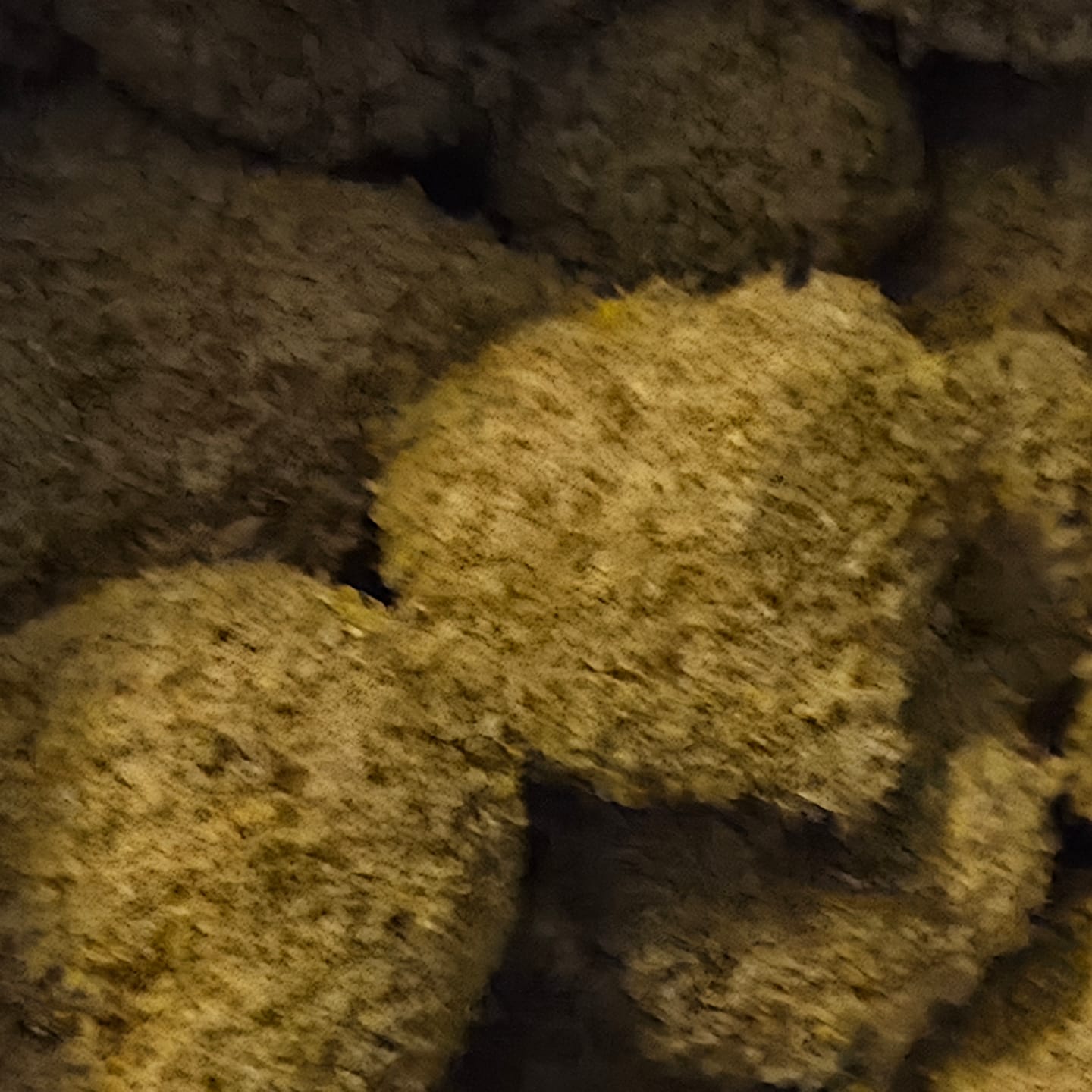 Customer photo review of Moonrocks 28 Grams