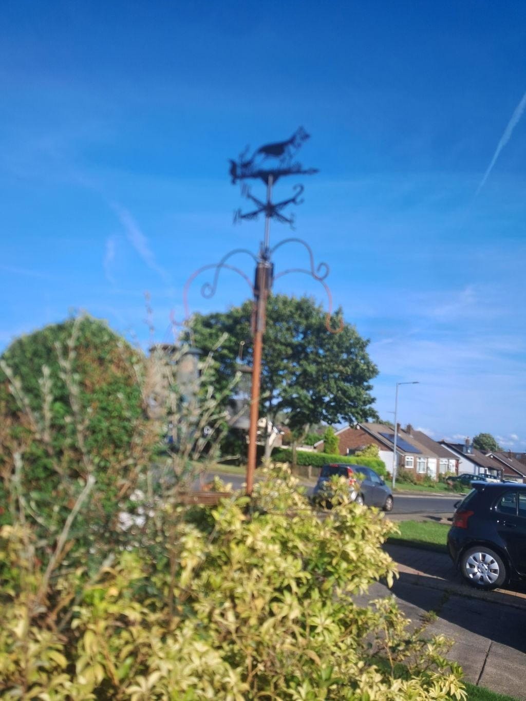 Customer photo review of Weather Vane - German Shepherd