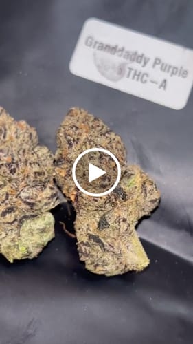 Customer video review of THC-A 36% Flower Granddaddy Purple