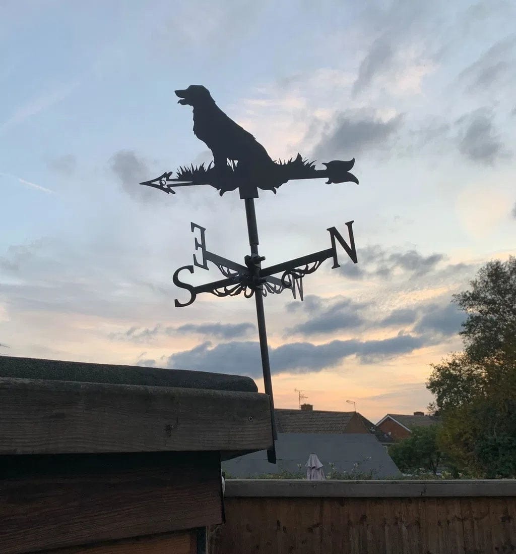 Customer photo review of Weather Vane - Golden Retriever