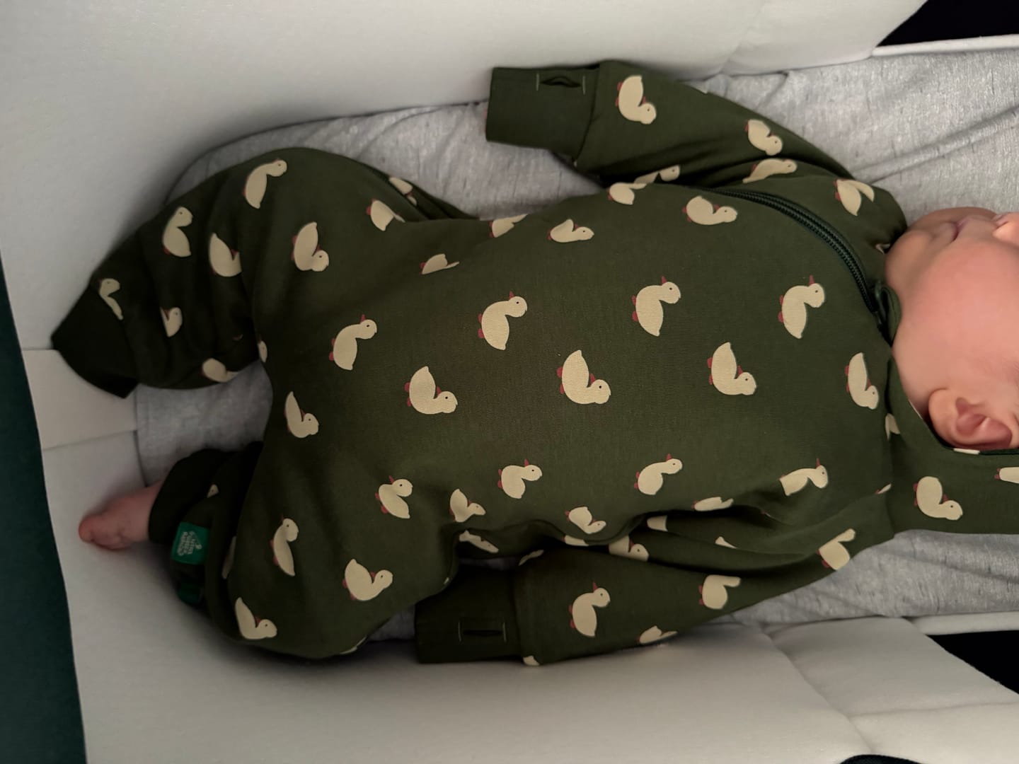 Customer photo review of Olive Ducks Hooded Reversible Snug Suit