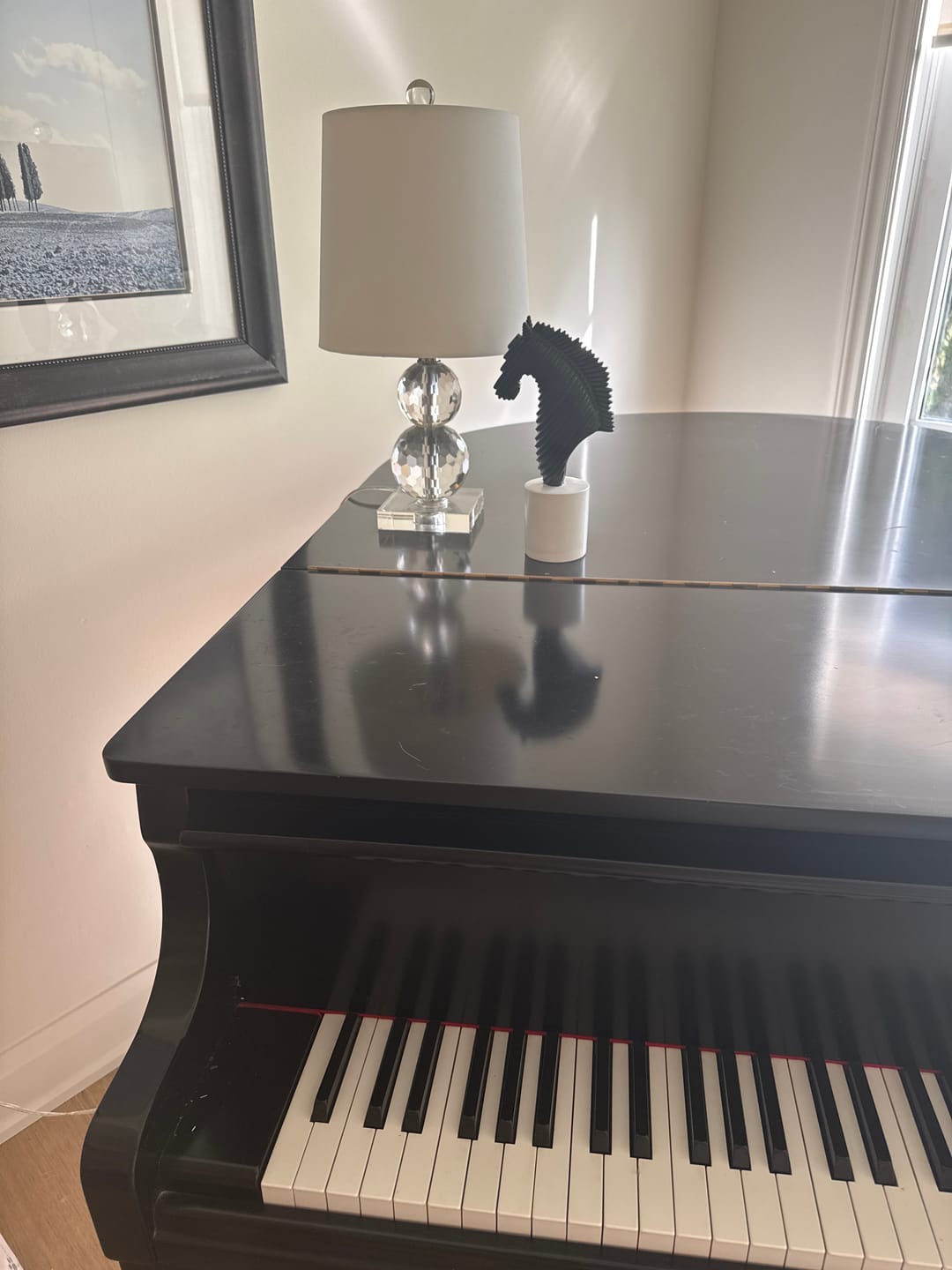 Customer photo review of The Sculpted Steed Statue