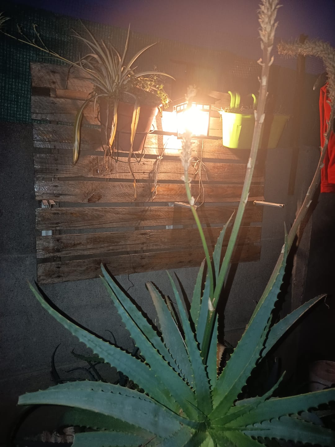 Customer photo review of Aplique Solar Lumix - Sensor de Movimiento / 60 W / IP65