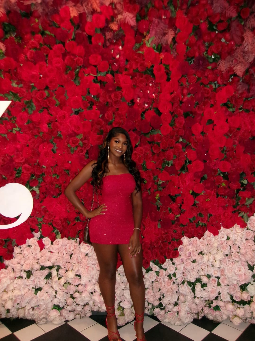 Customer photo review of Greer Mesh Beaded Mini Dress