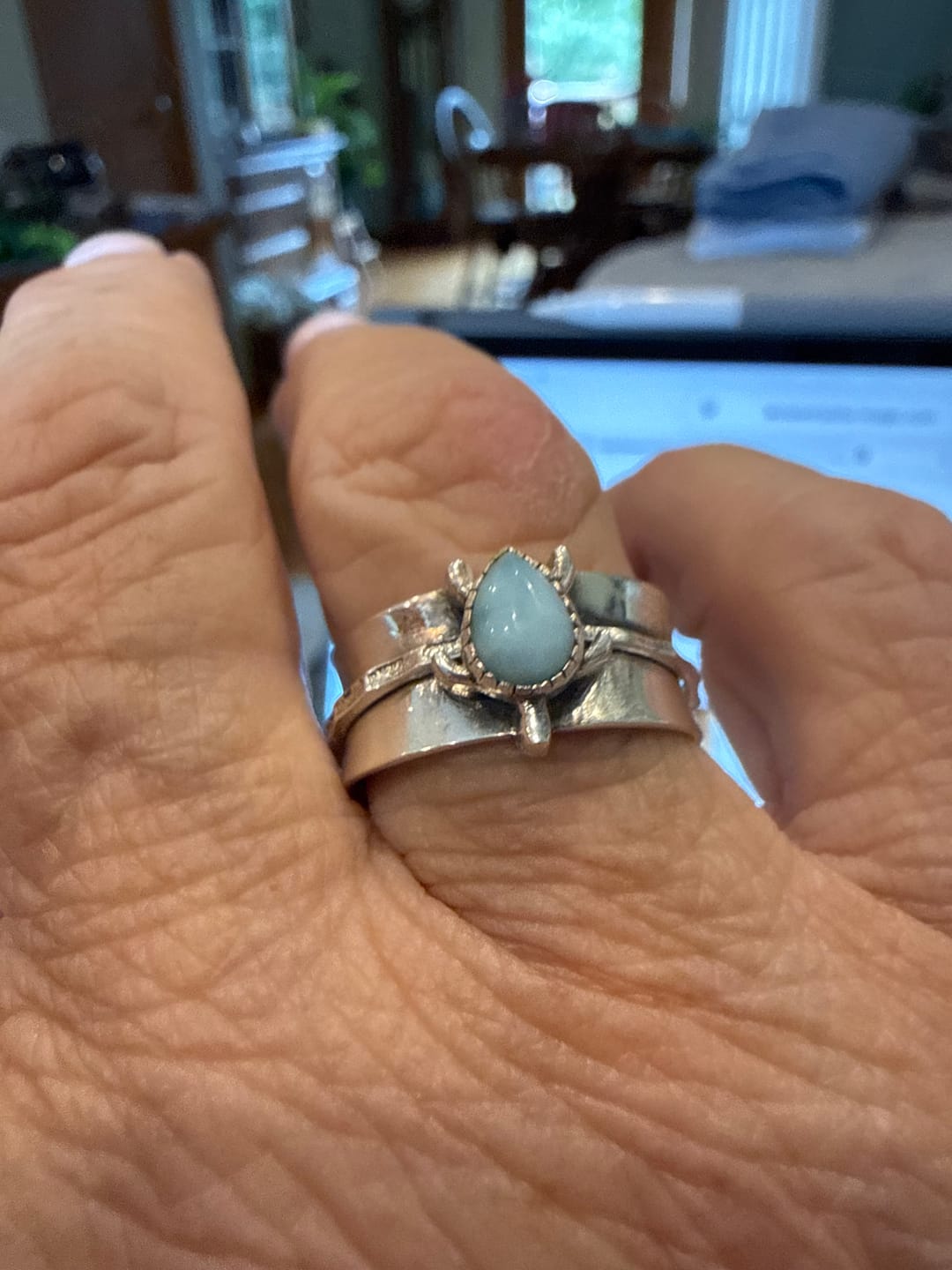 Customer photo review of Turtle Larimar Fidget Ring