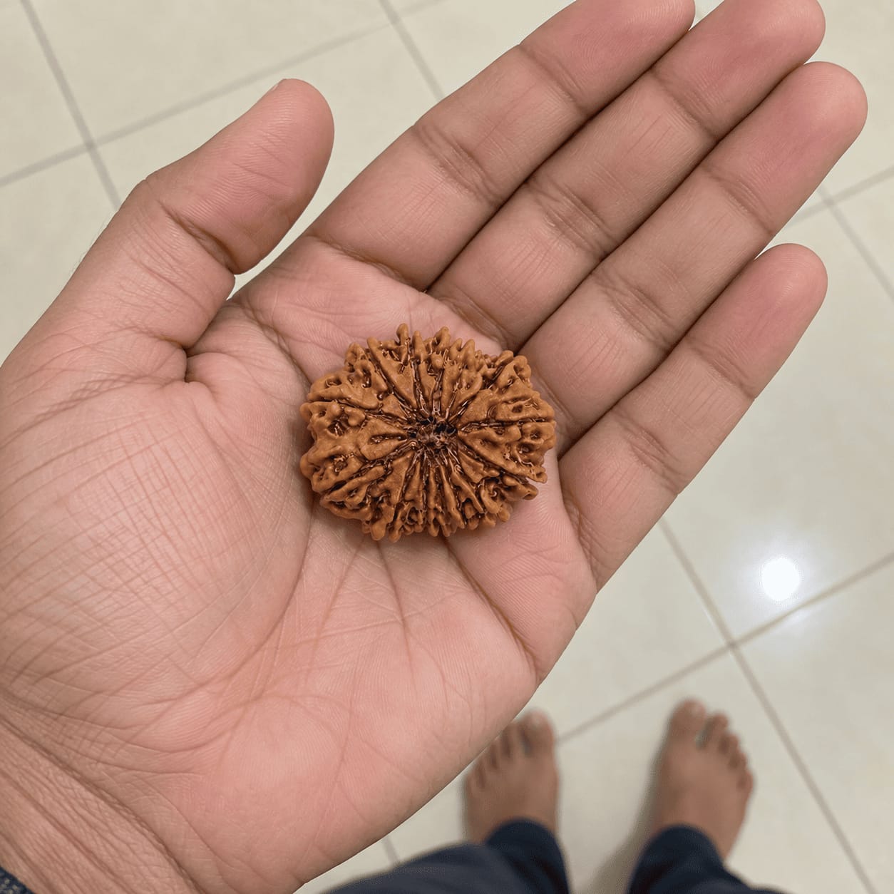 Customer photo review of 14 Mukhi Rudraksha (Nepali)
