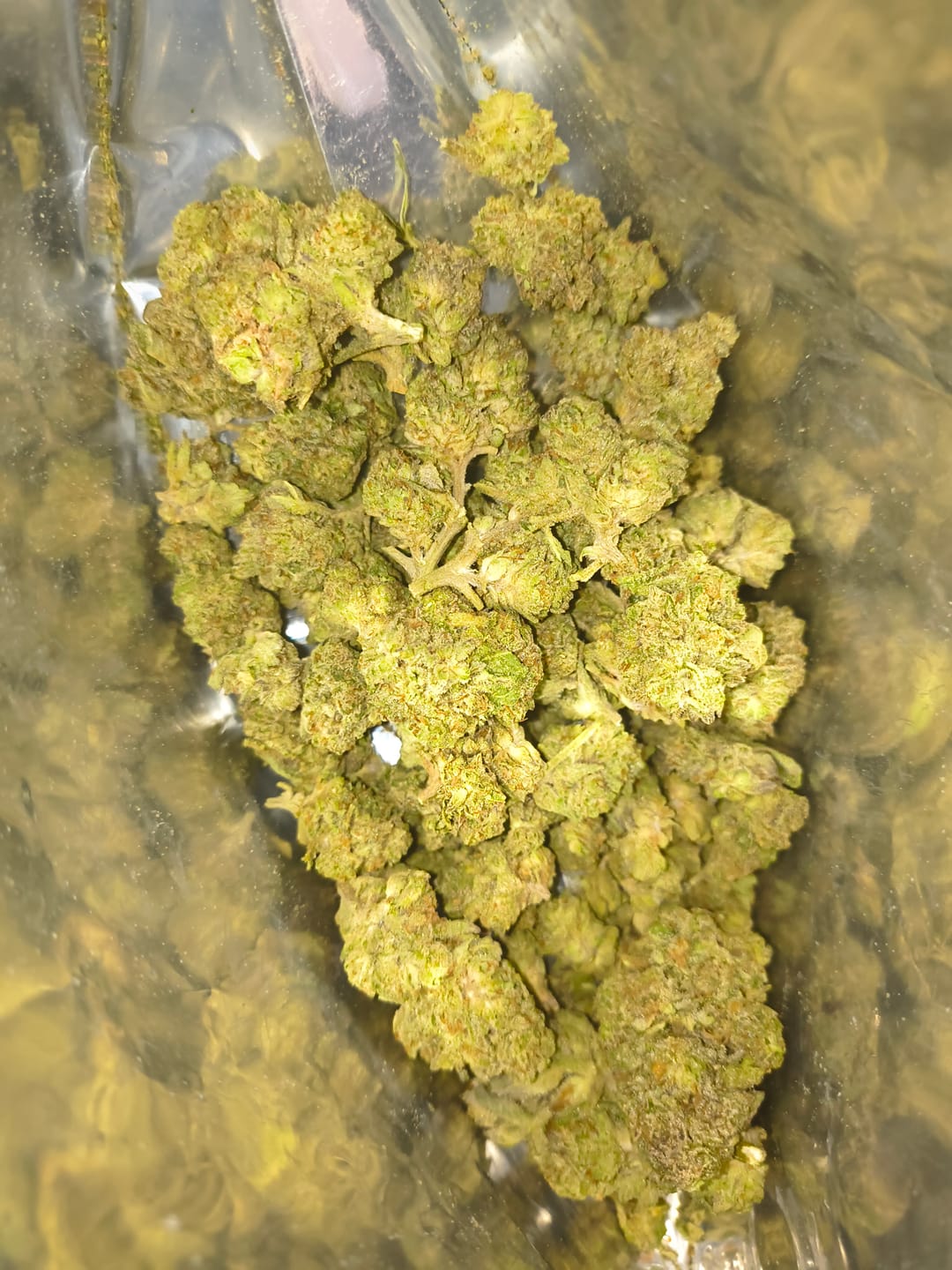 Customer photo review of Light Assist THCA Smalls