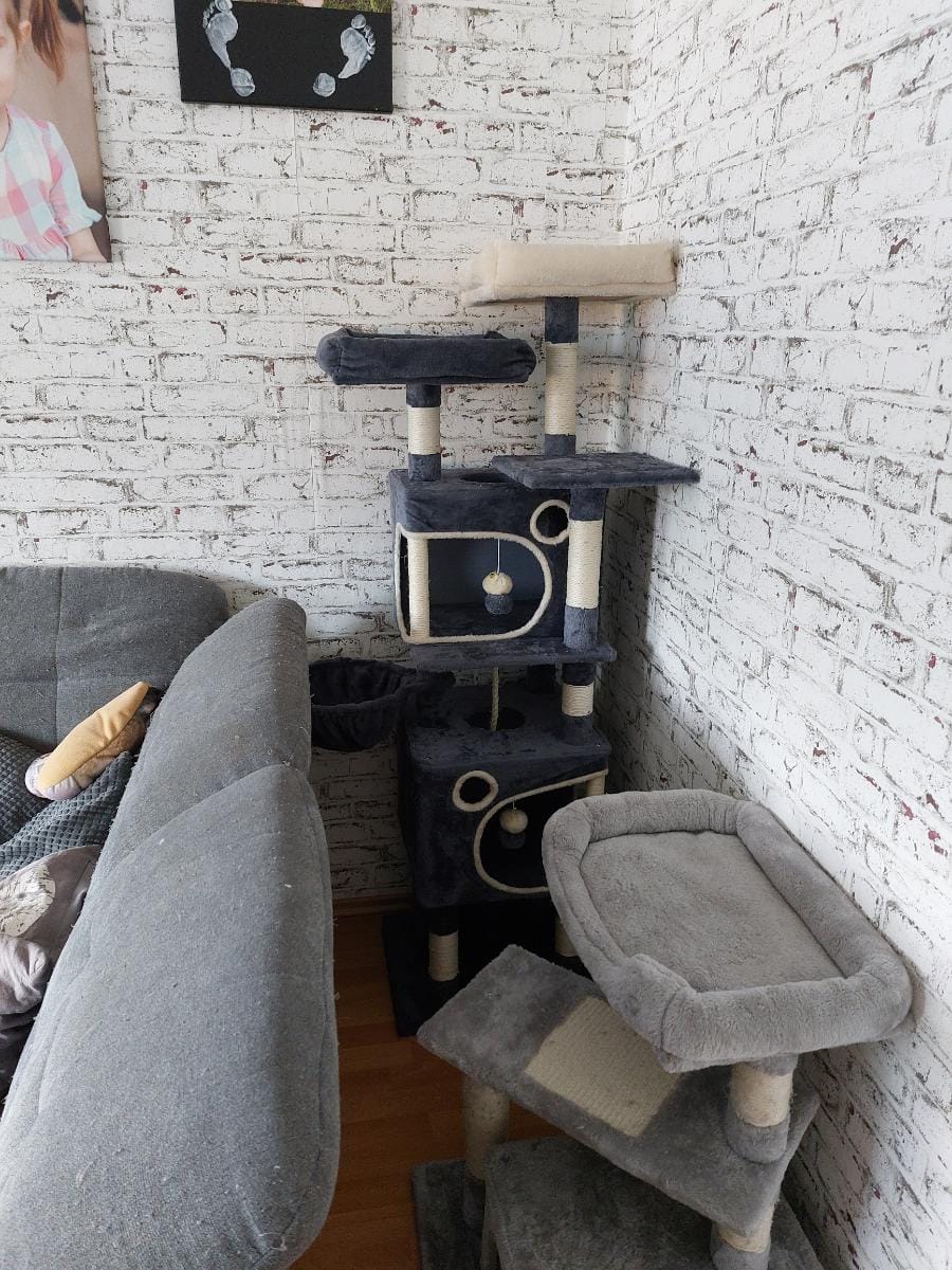 Customer photo review of Arbre à Chat 161cm – 7 Niveaux & Grande Stabilité