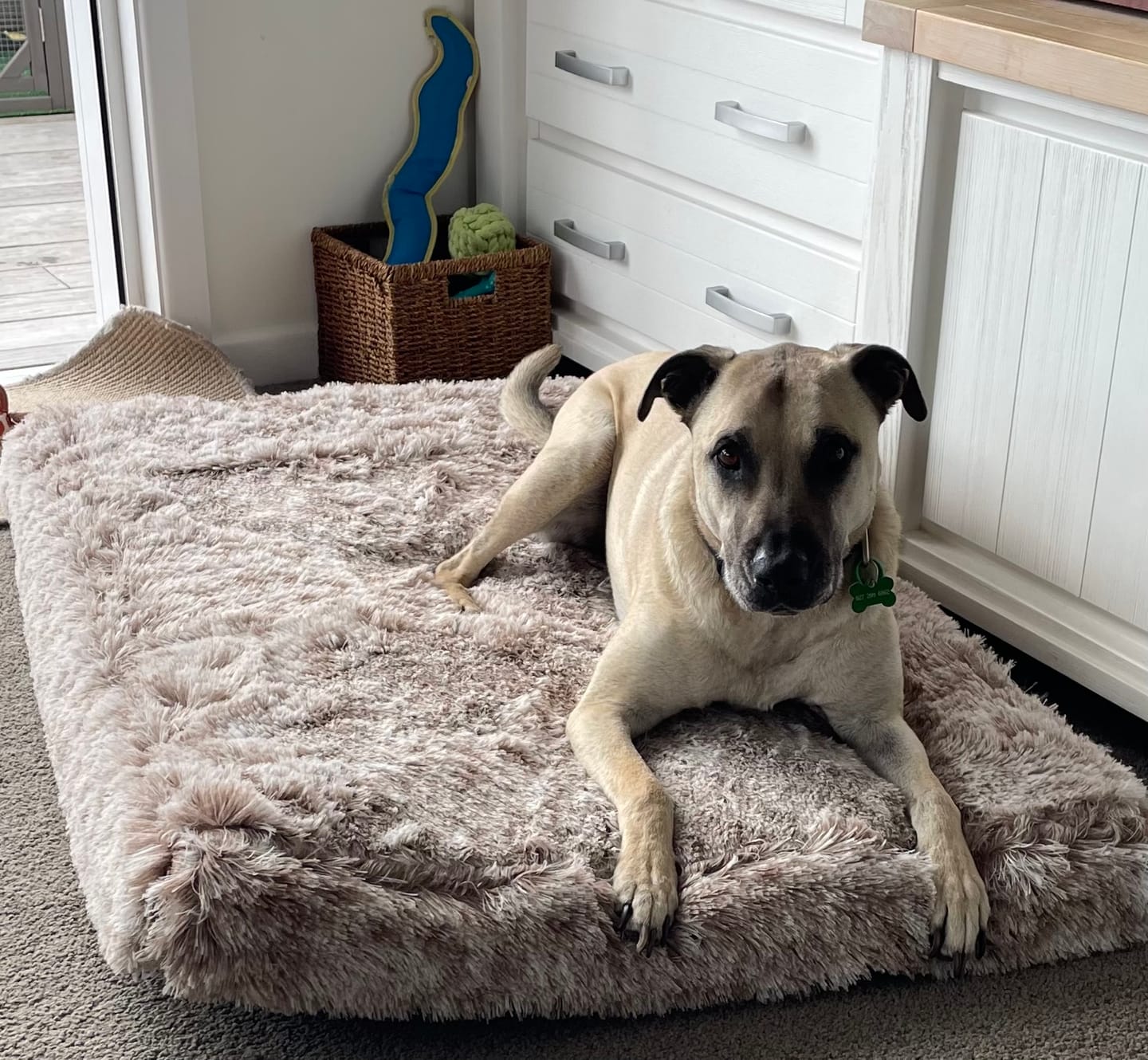 Customer photo review of Brooklyn® Ultra Memory Foam Bed