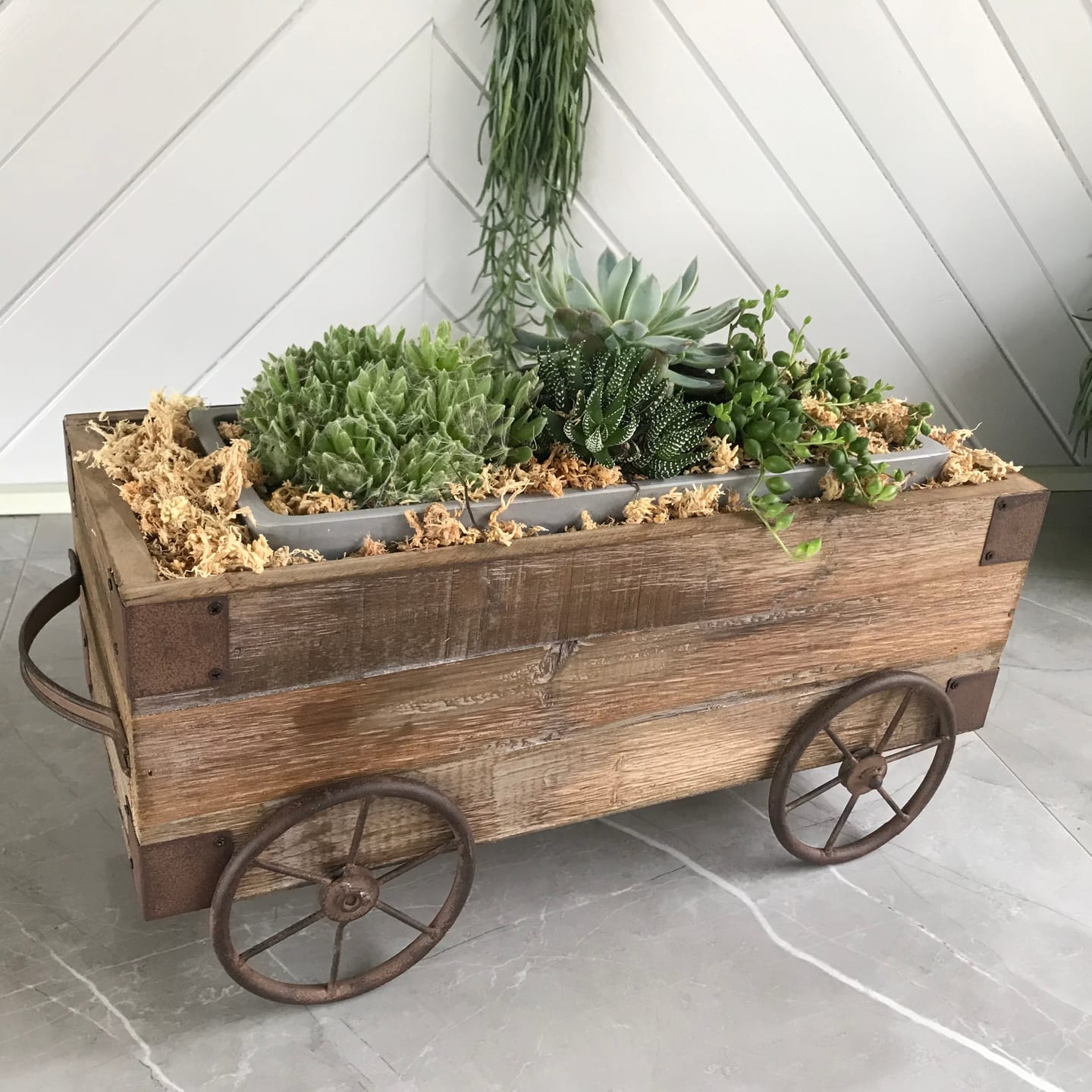 Customer photo review of Pascal French Provincial Wheeled Cart Planter, Fir Wood with Iron Handles