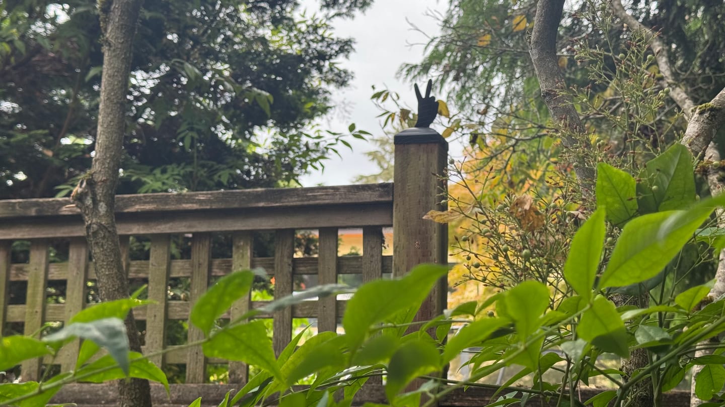 Customer photo review of Peace Hand Gesture Fence Post Cap (Multiple Post Sizes Available)