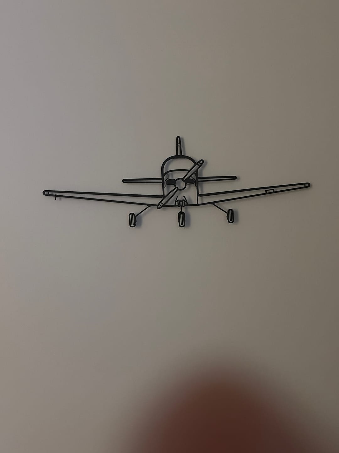 Customer photo review of Your Custom Aircraft Silhouette Metal Wall Art
