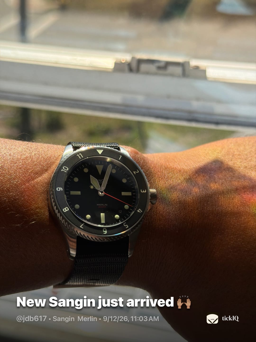 Customer photo review of Merlin (Private Release)