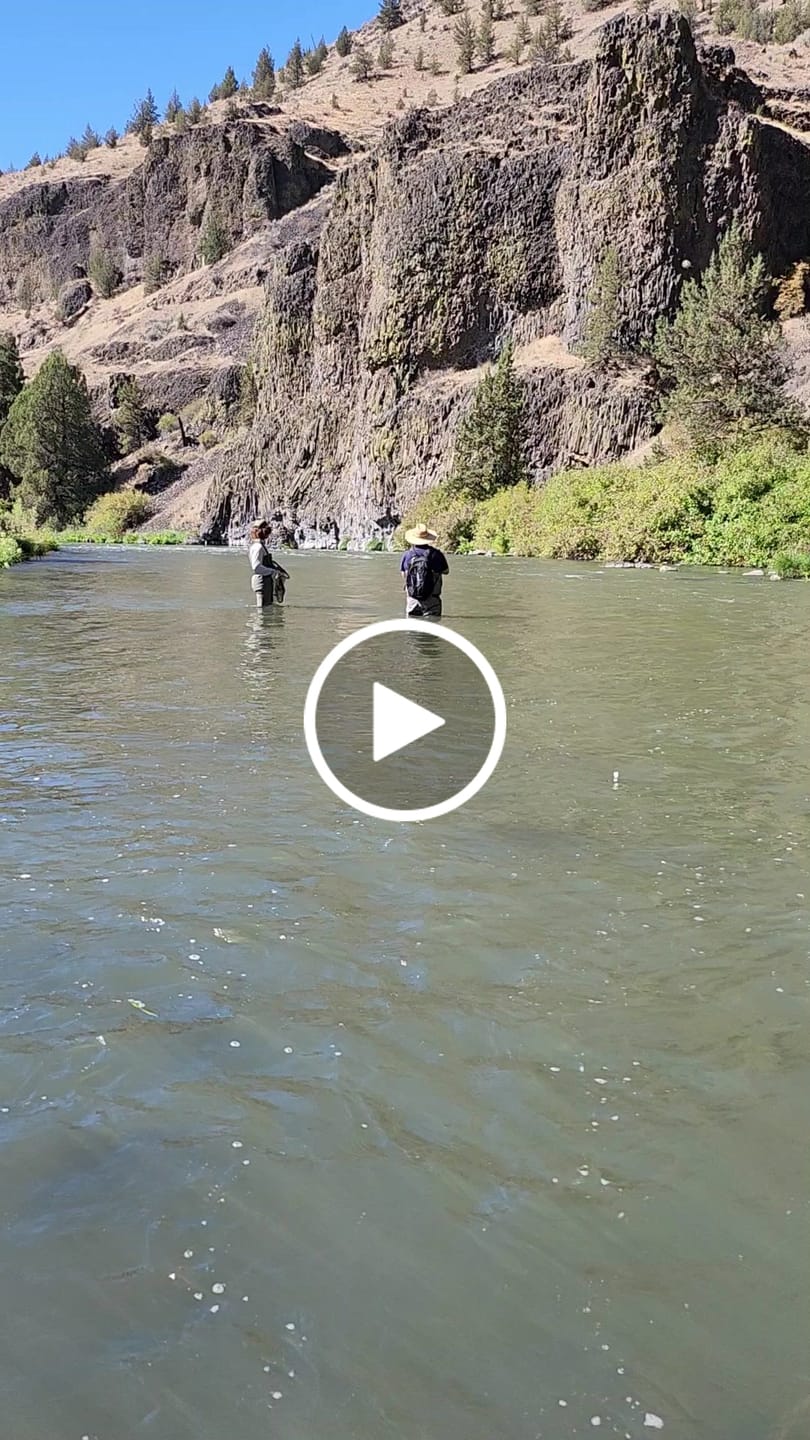 Customer video review of Crooked River Half Day Guide Trip