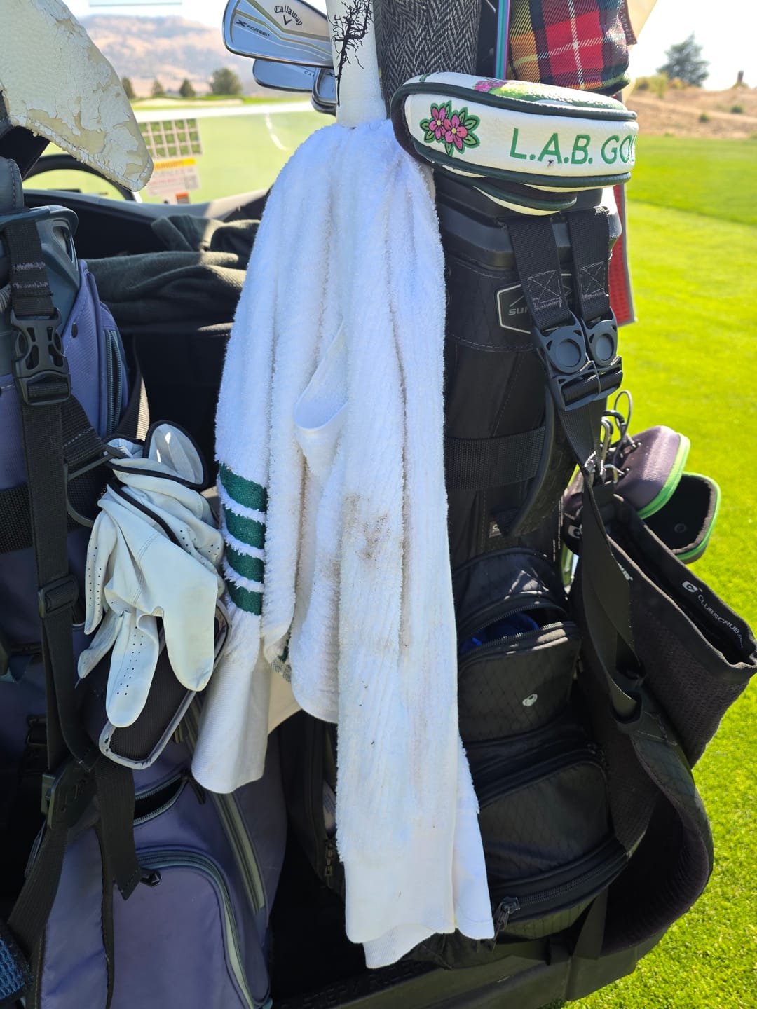 Customer photo review of The Tour Towel - White with Green Stripes