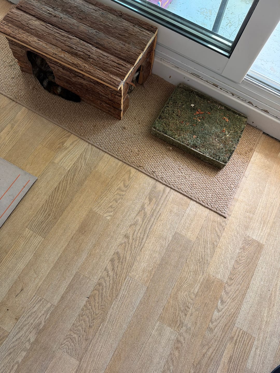 Customer photo review of Le Tapis Croc'Légumes