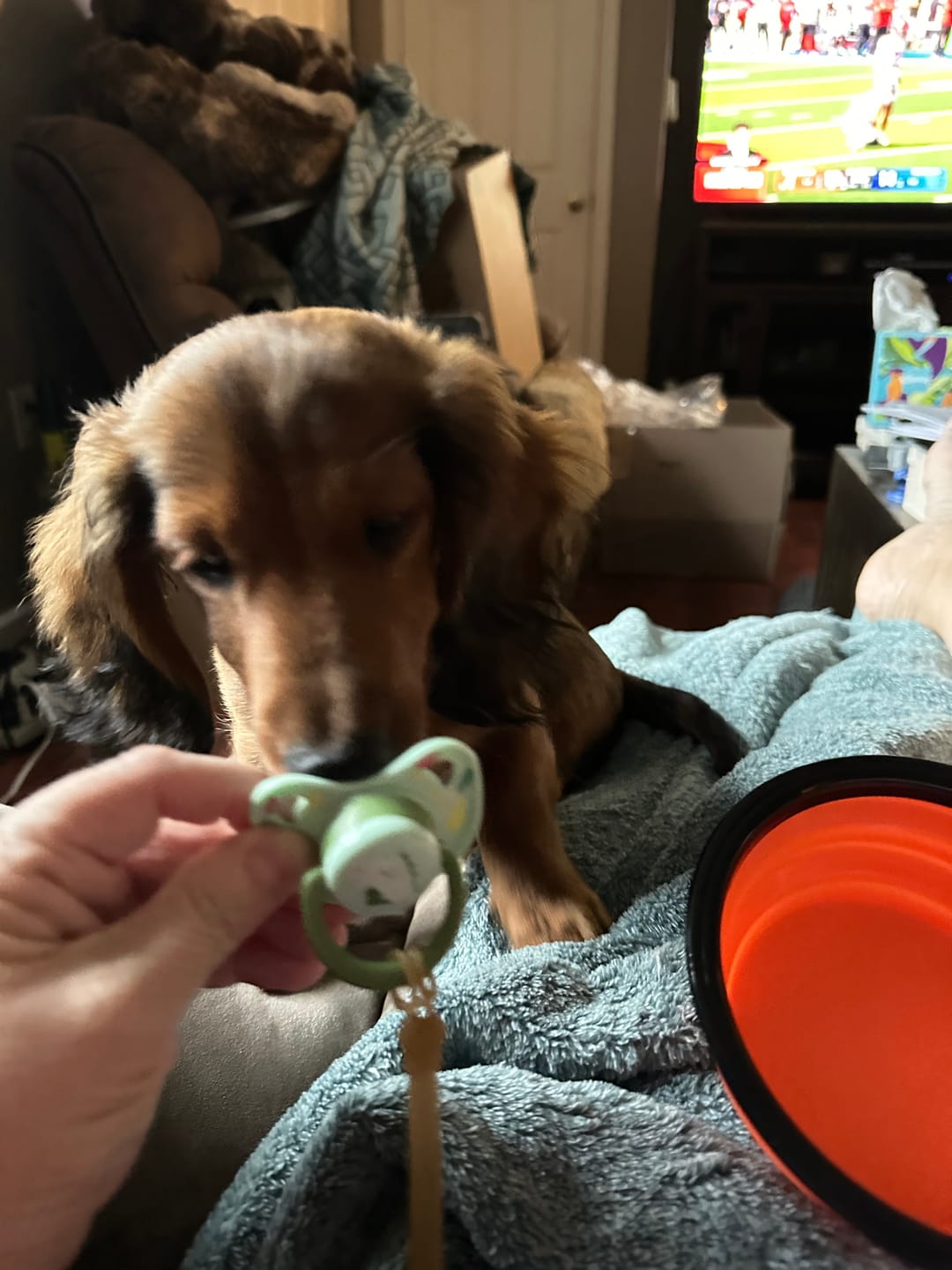 Customer photo review of Limited Time Mystery Gift