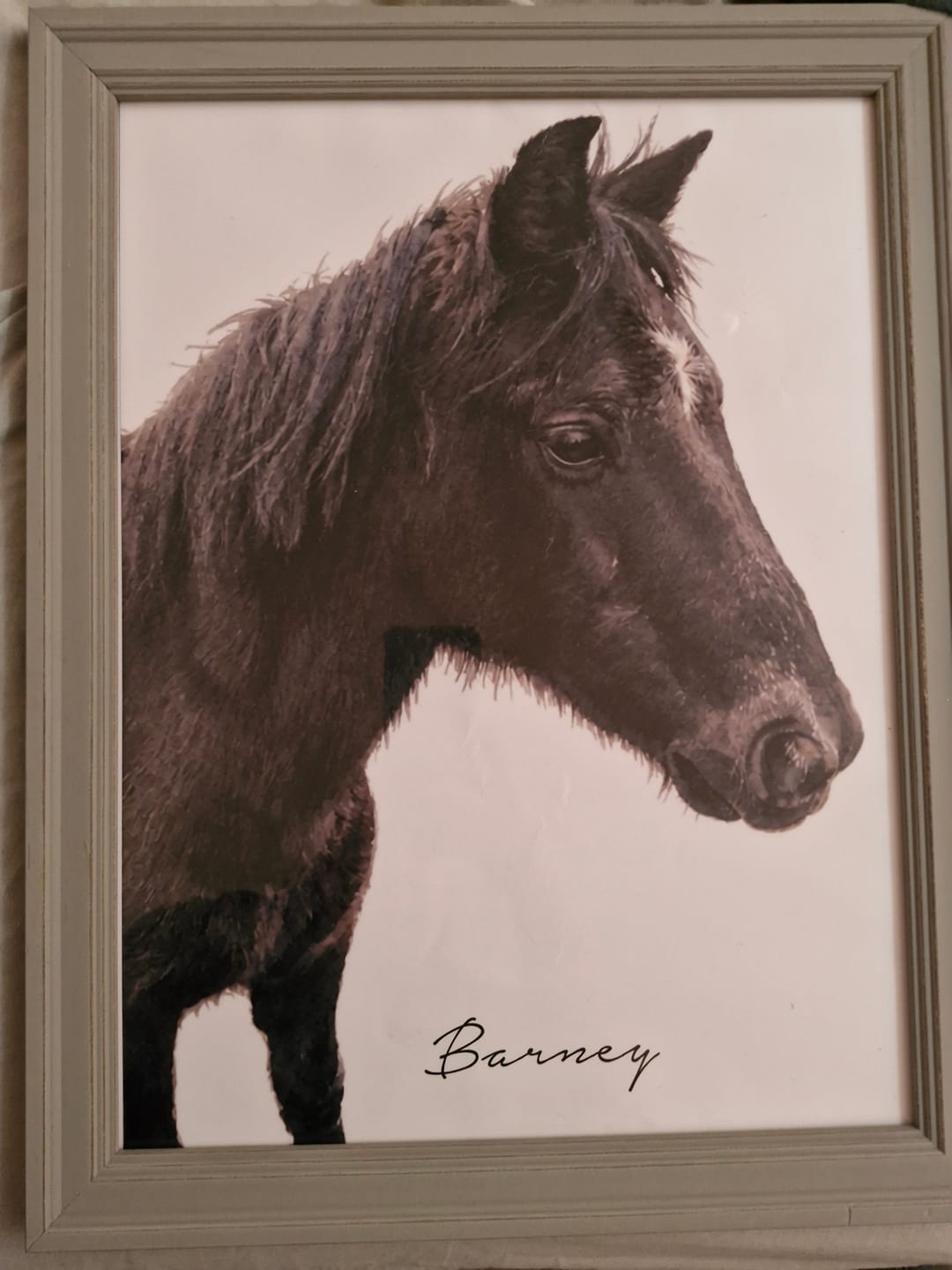 Customer photo review of Watercolours - Personalised Poster