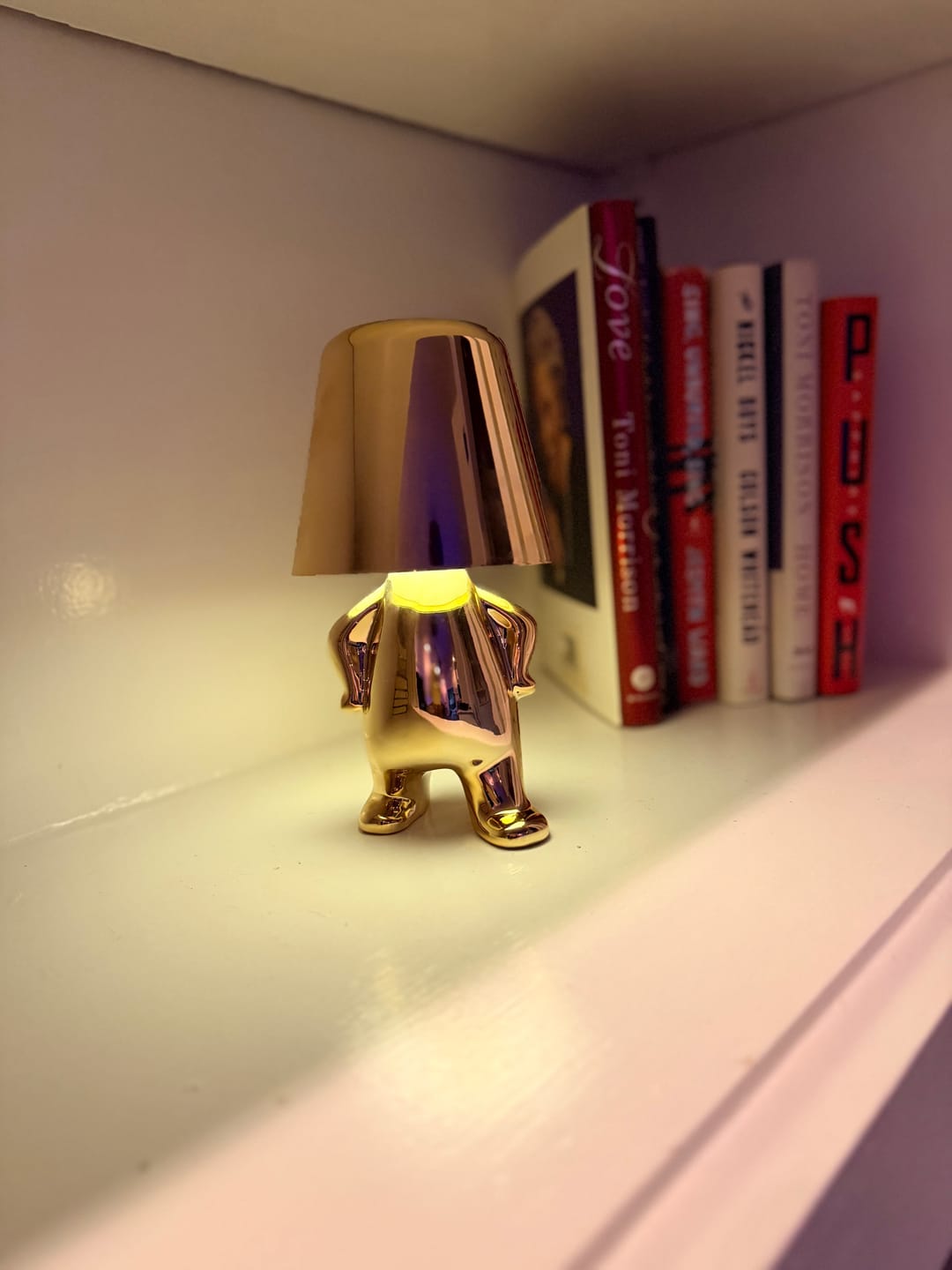 Customer photo review of Thinker™ Lamp