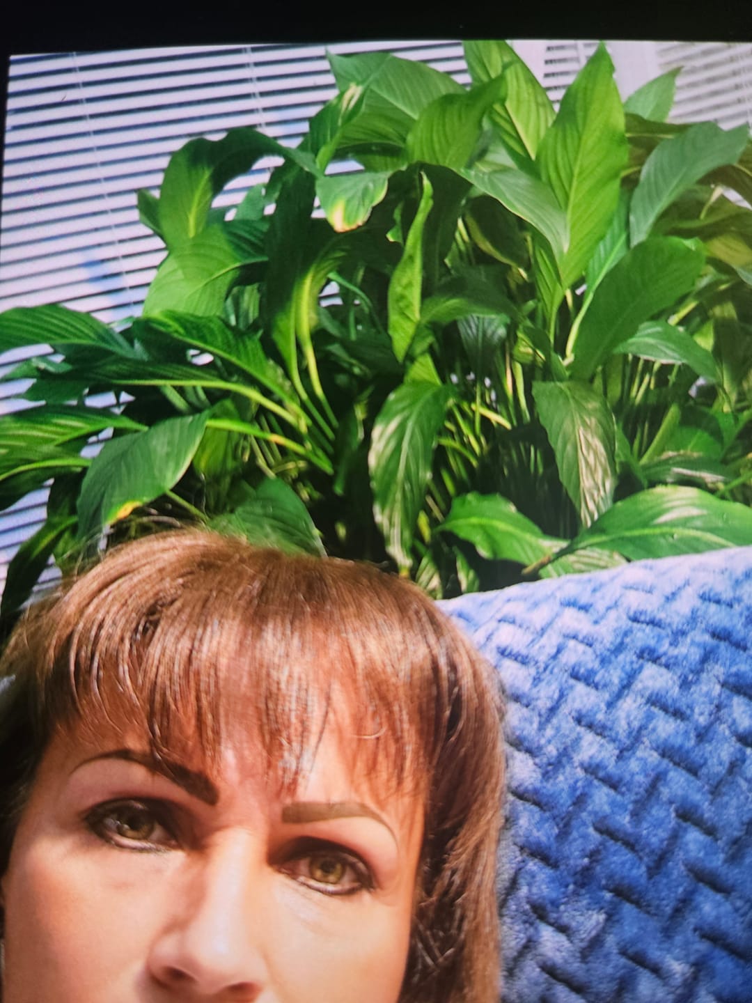 Customer photo review of Plant Juice