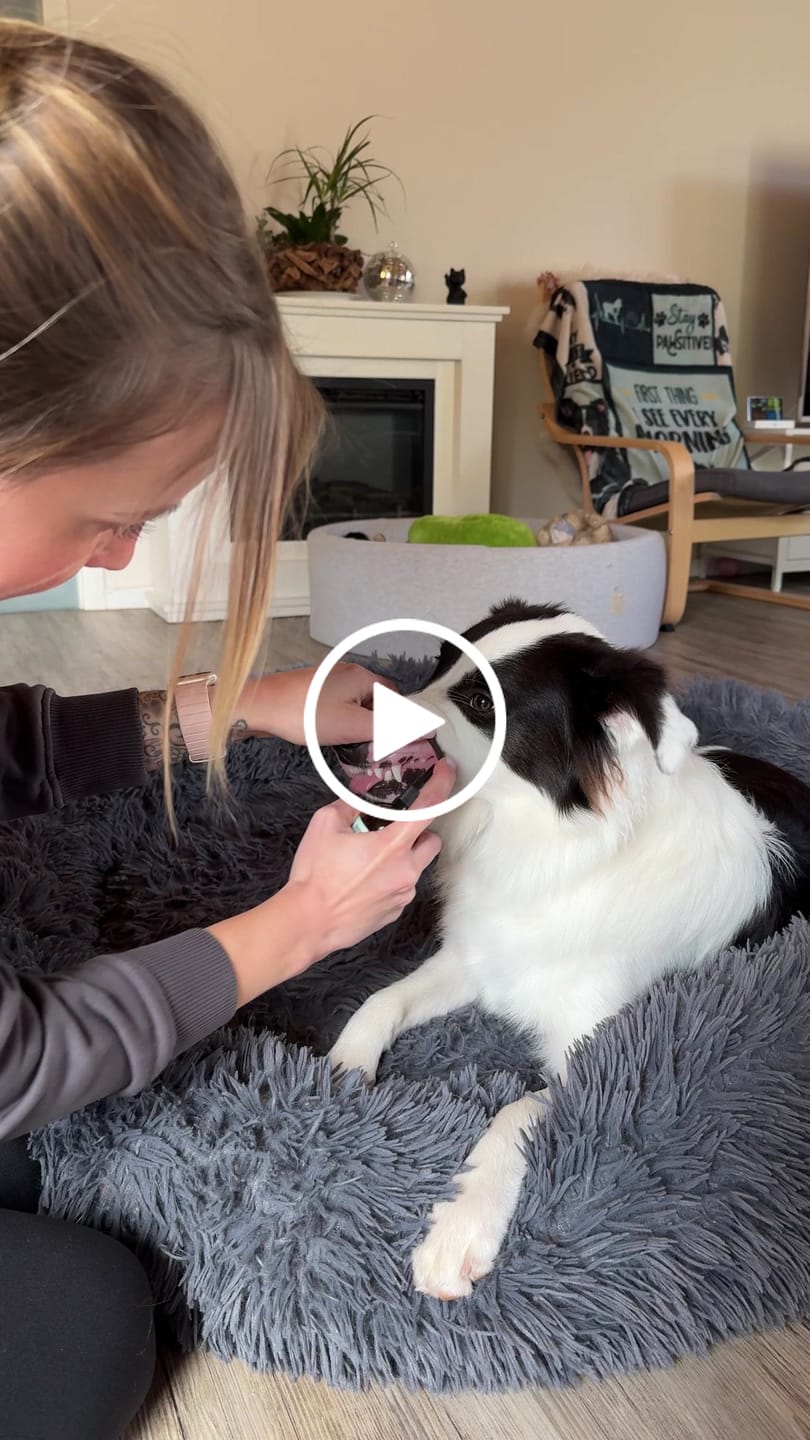Customer video review of Dentalspray für Hunde & Katzen