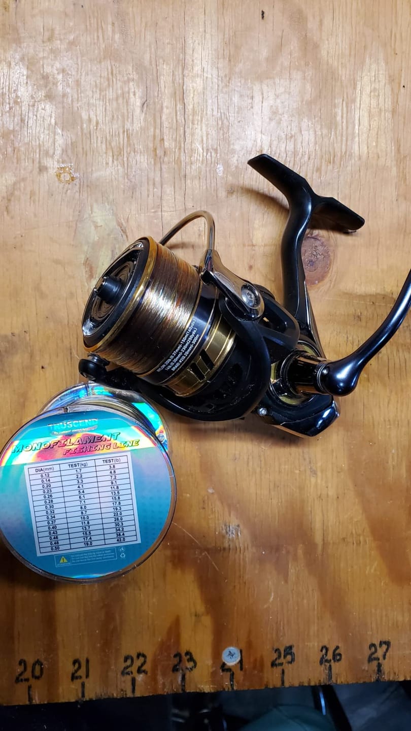 Customer photo review of X8 Braided Fishing Line|  PE Braid Line | Must-Have Freshwater