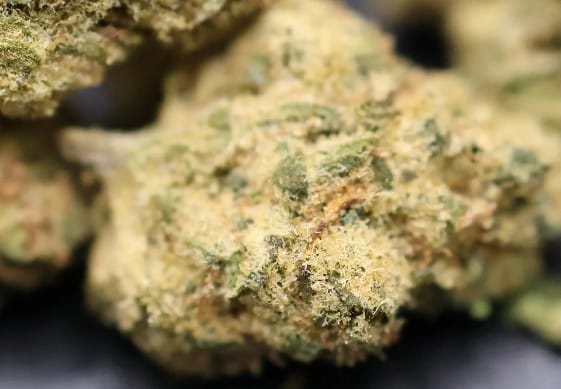 Customer photo review of 420 Dry Herb Flower Mystery Box