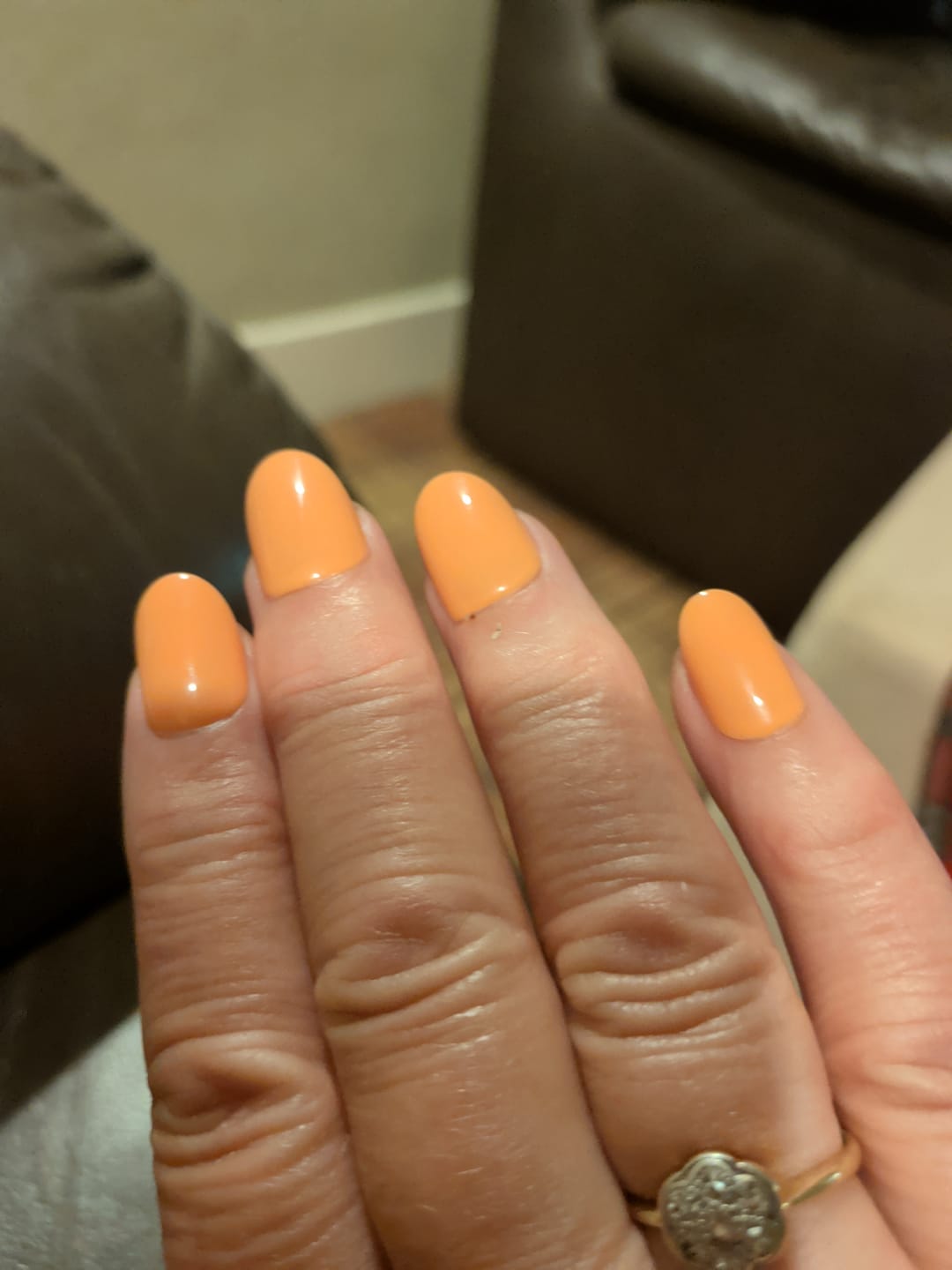 Customer photo review of Apricot