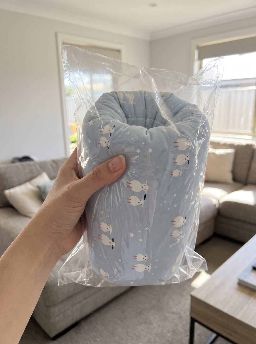 Customer photo review of Nursing Pillow