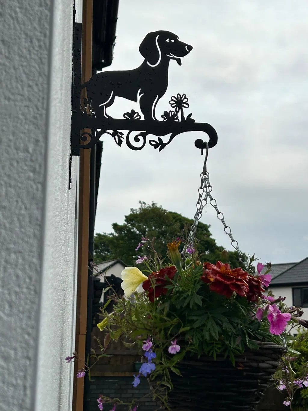 Customer photo review of Hanging Basket Bracket – Dachshund