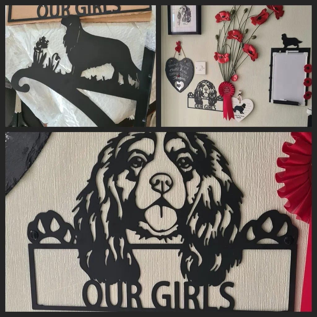 Customer photo review of Hanging Basket Bracket – Cavalier King Charles Spaniel