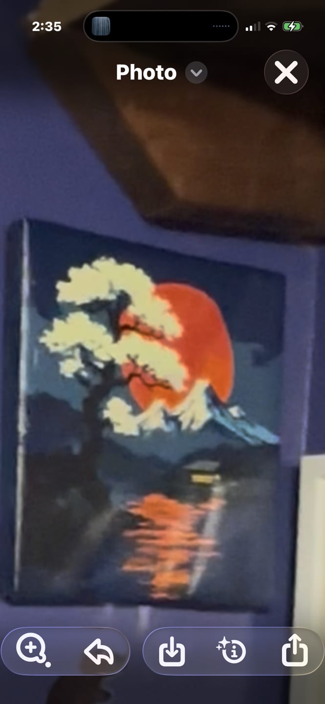 Customer photo review of Reflections of Japan (Paint by Numbers)