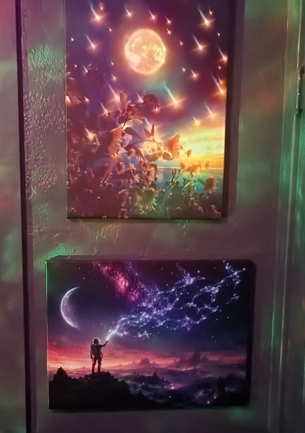 Customer photo review of Where Stars Take Flight
