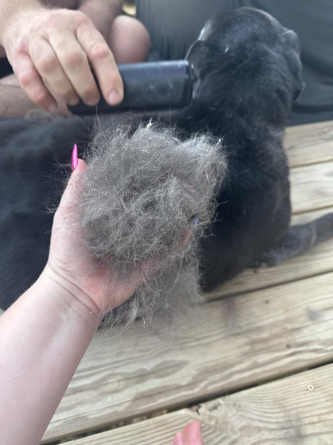 Customer photo review of CleanPaws™ Peluqueria Profesional en Casa