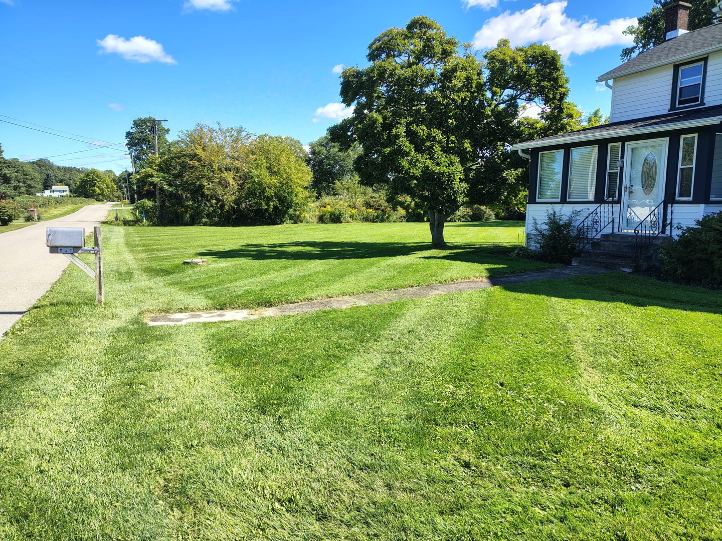 Customer photo review of Broominator — Turn Any Mower Into a Striping Machine