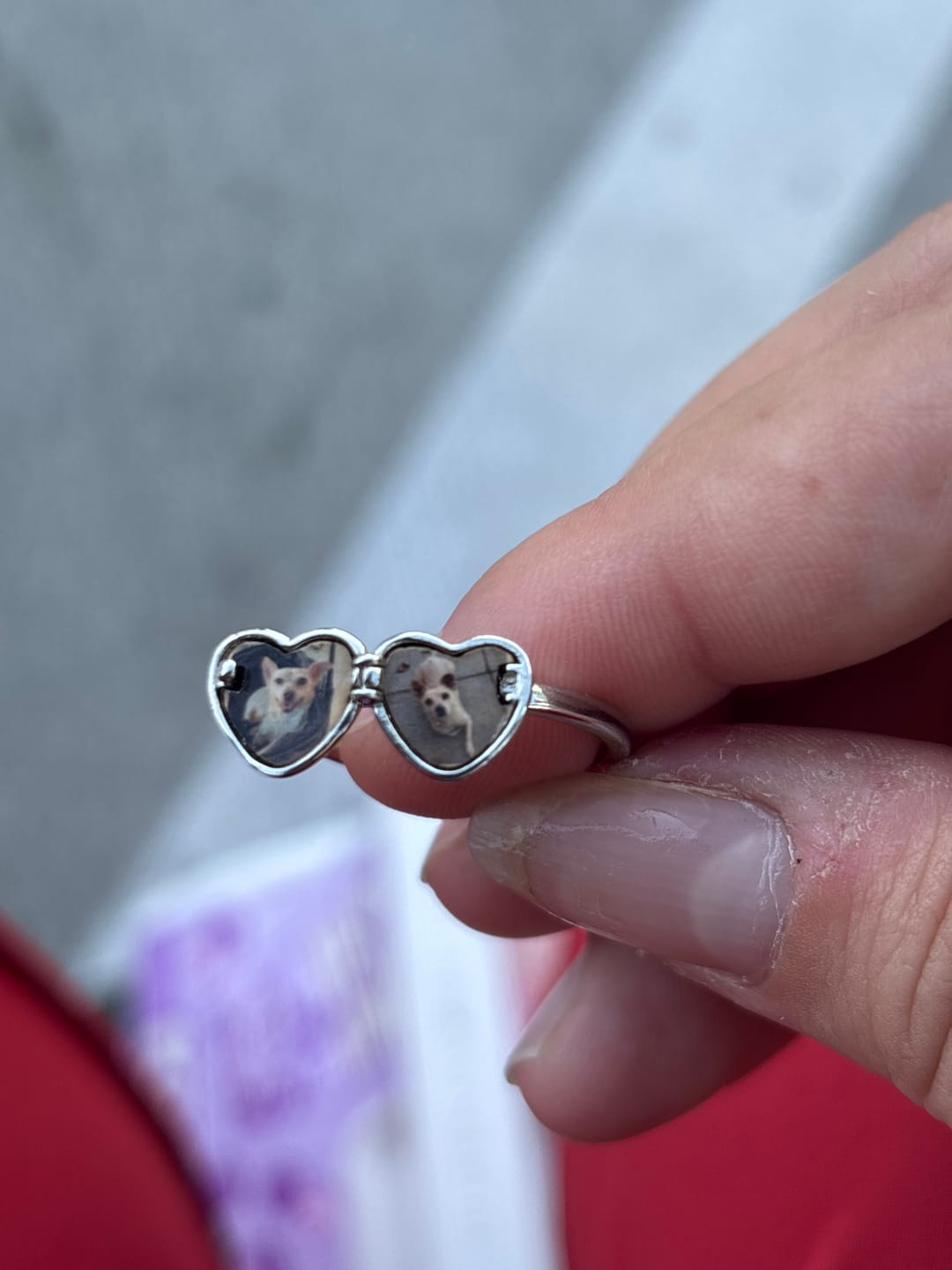 Customer photo review of Shipping Protection
