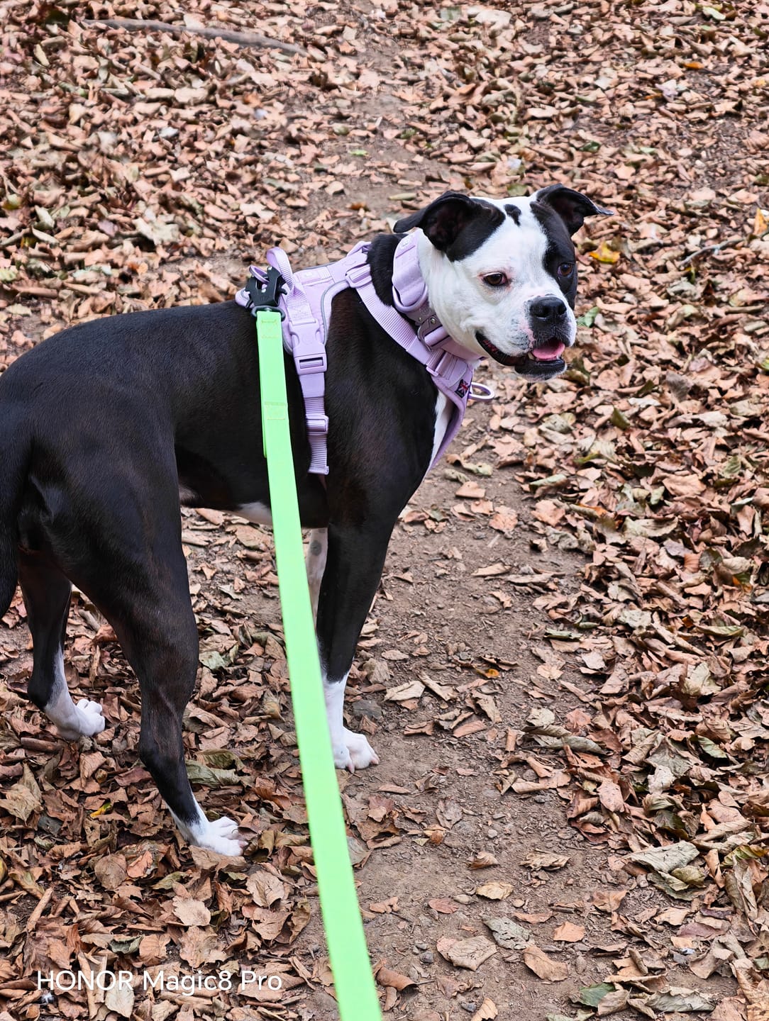 Customer photo review of Anti Pull Hurricane Harness Lighter | With Handle - Lavender X Ube