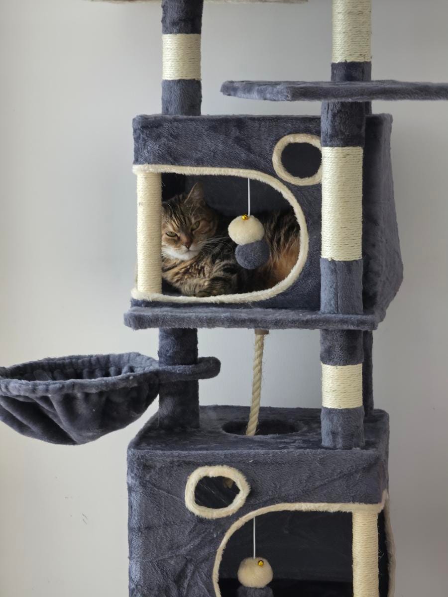 Customer photo review of Arbre à Chat 161cm – 7 Niveaux & Grande Stabilité