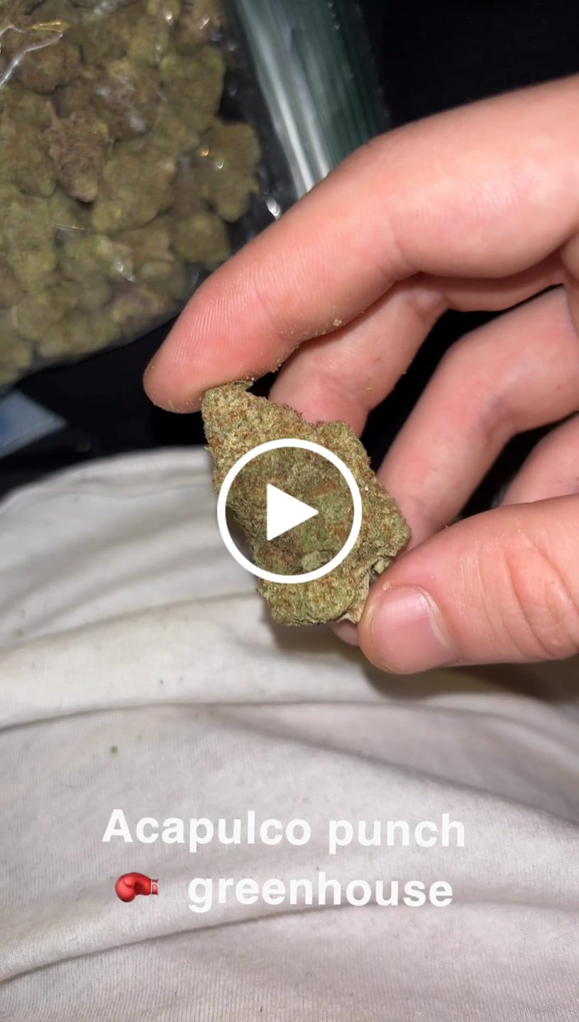 Customer video review of Acapulco Punch THCA Flower