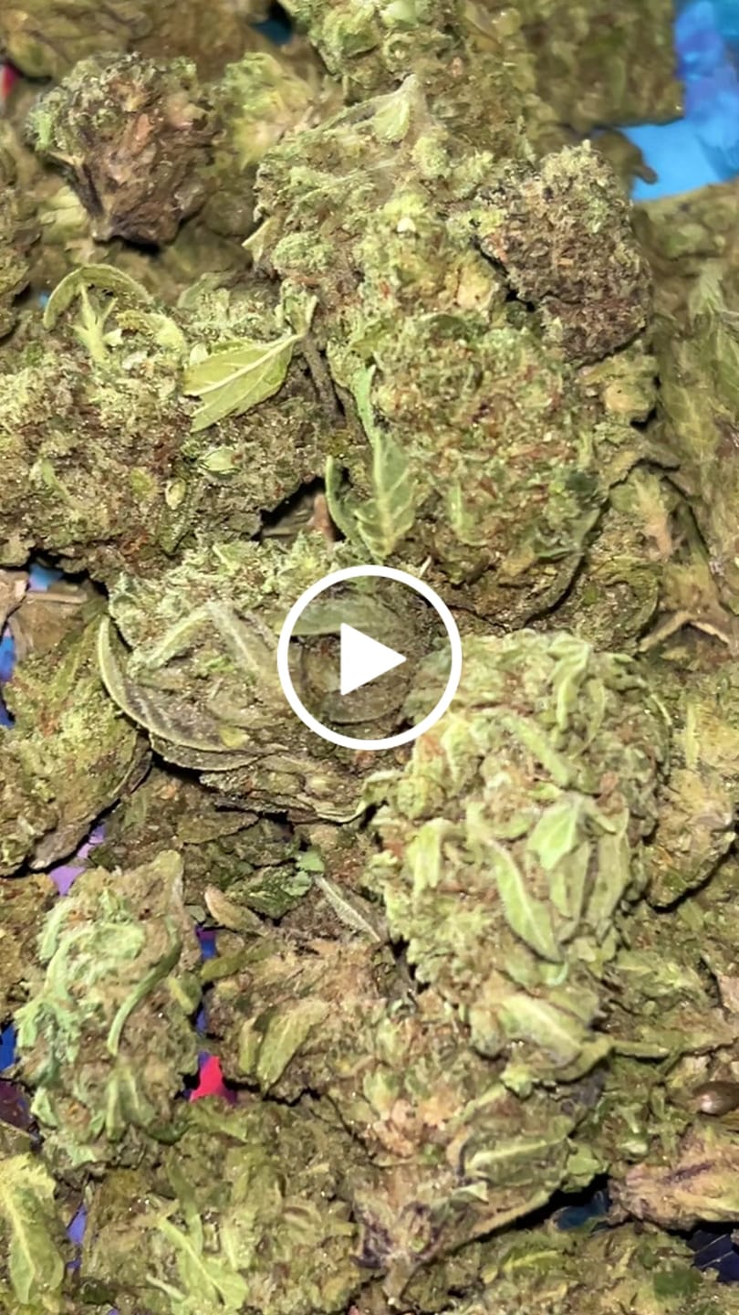 Customer video review of Blueberry Zkittlez - 28 Grams - Indica