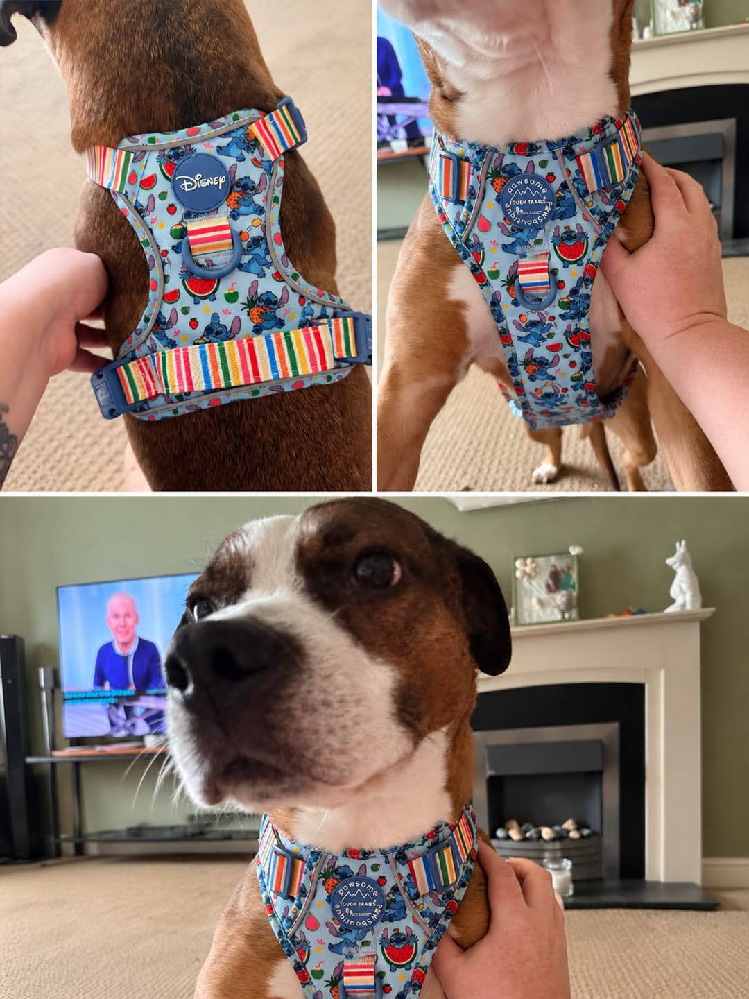 Customer photo review of Disney© Tough Trails™ Harness - Stitch's Fruit Fiesta