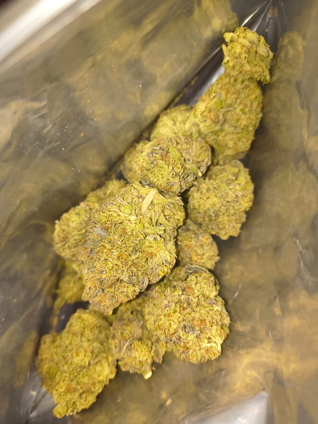 Customer photo review of Gorilla Glue THCA Flower (Purple Cut)