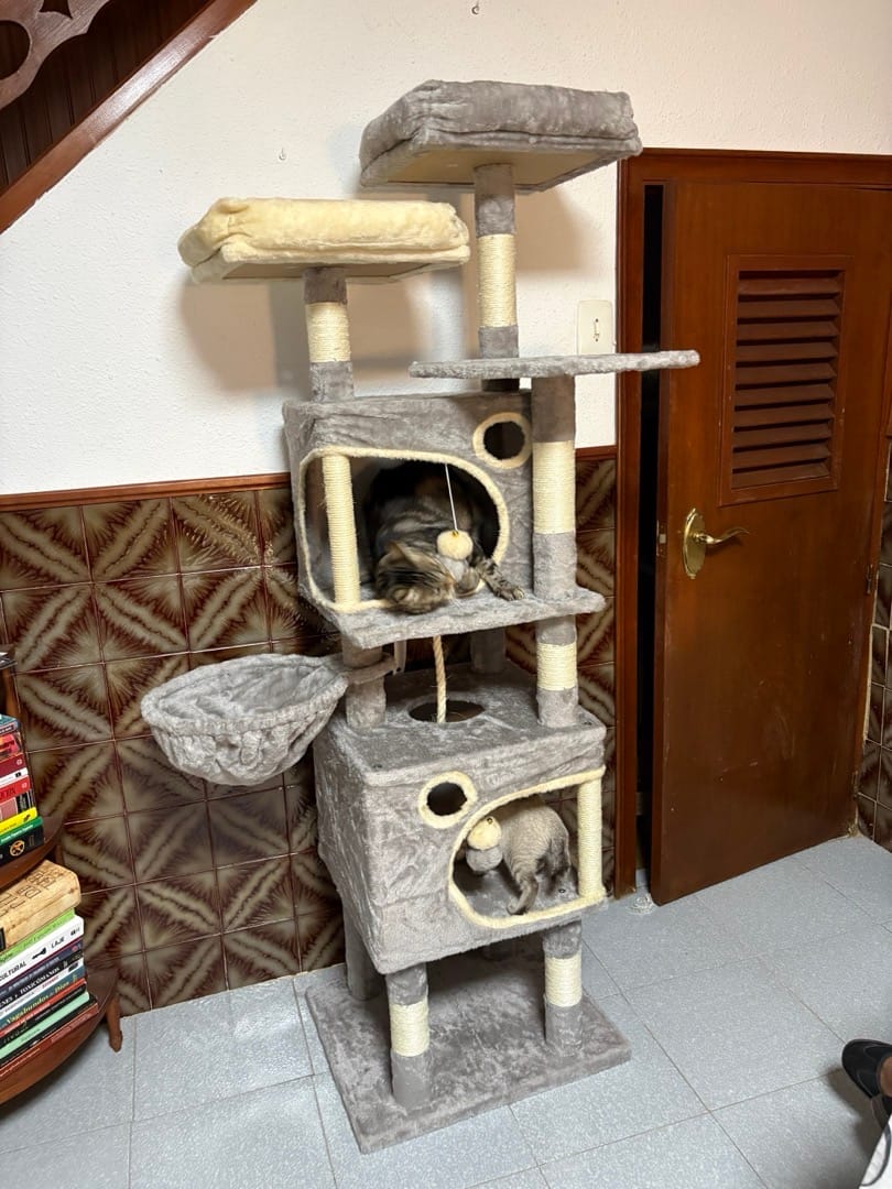 Customer photo review of Arbre à Chat 161cm – 7 Niveaux & Grande Stabilité