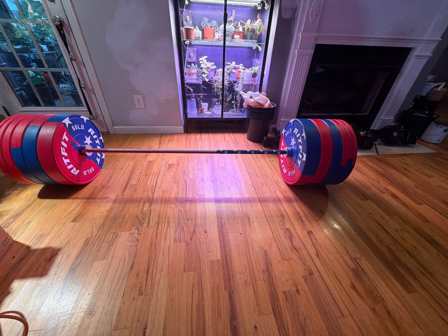 Customer photo review of RitFit Patriotic Star Olympic Bar 20KG