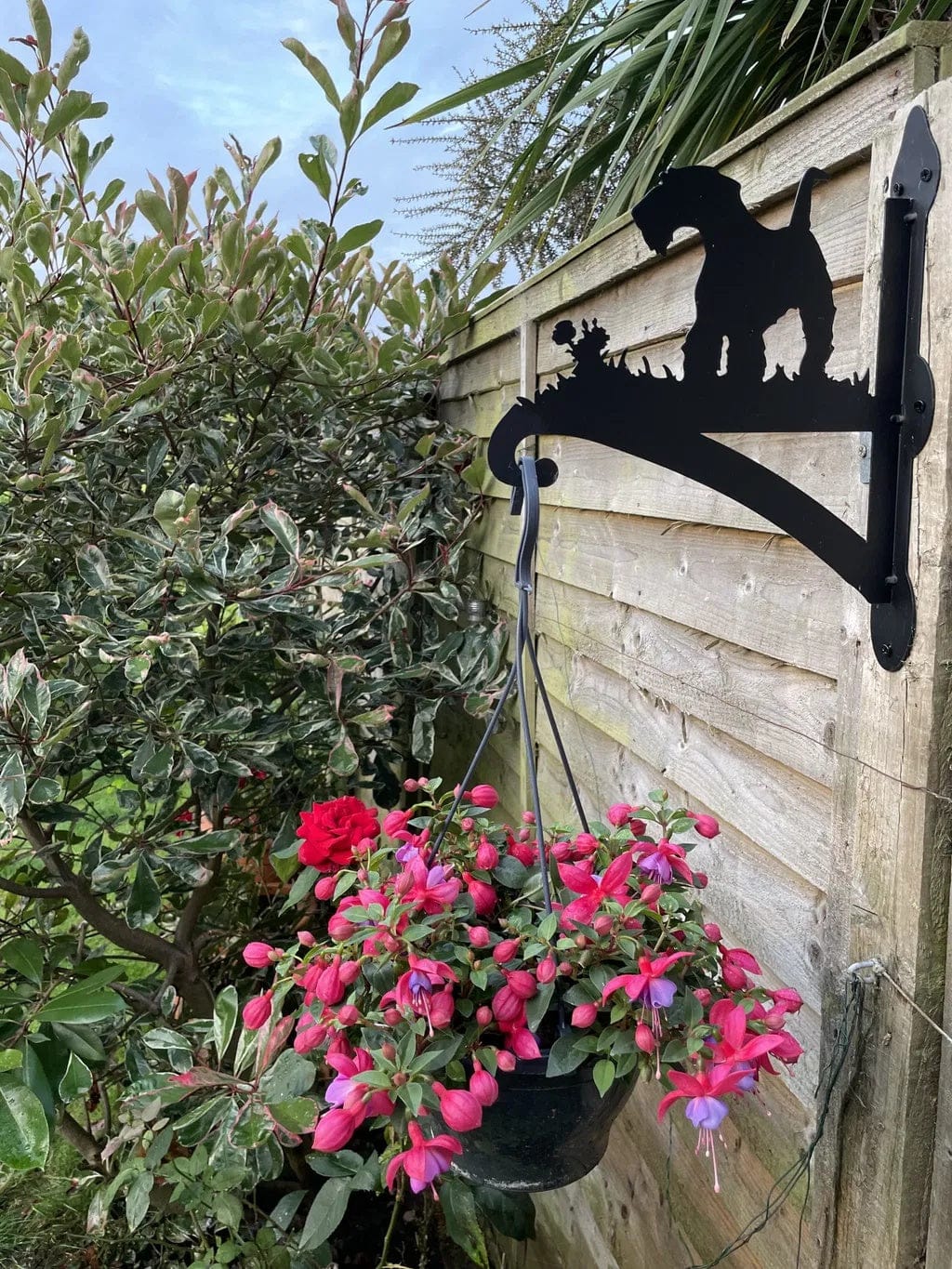 Customer photo review of Hanging Basket Bracket – Schnauzer
