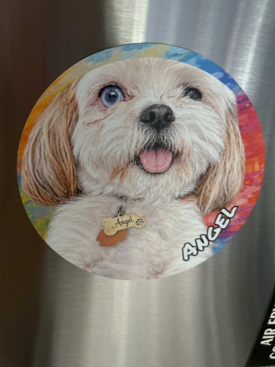 Customer photo review of Graffiti - Personalized Car Magnet