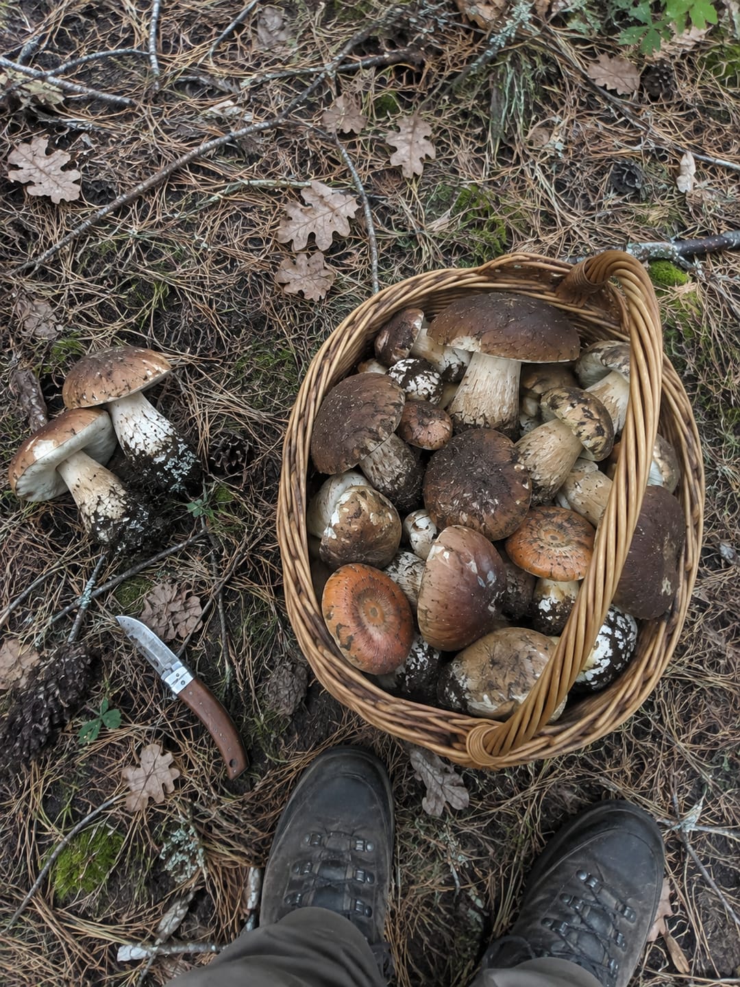 Customer photo review of Método Para Encontrar Setales - Senda Salvaje™