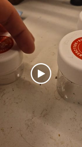 Customer video review of THC-A 60% Hash Plasma