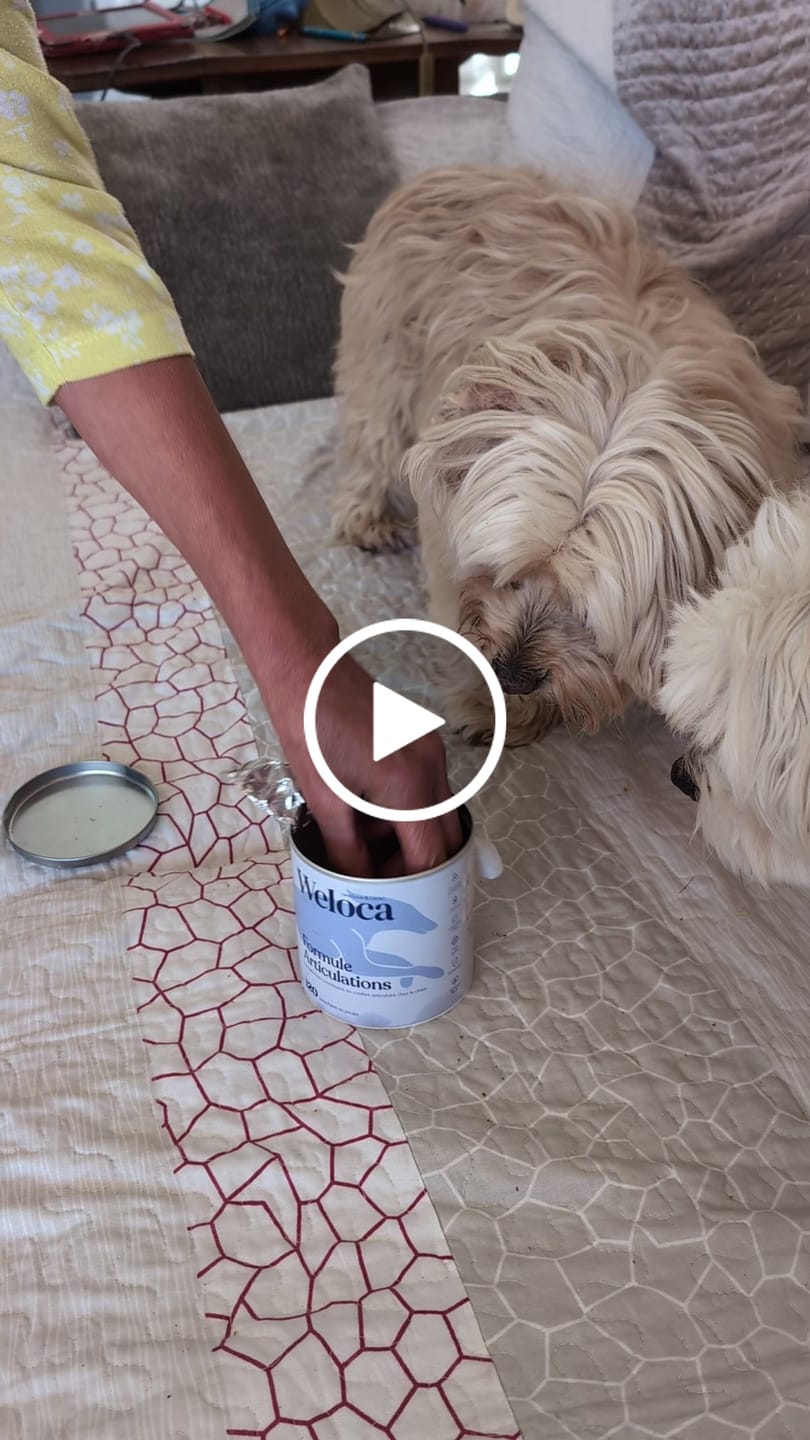 Customer video review of Complément articulations