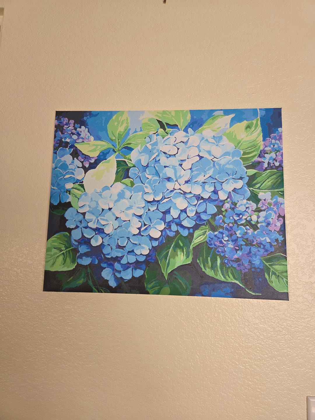 Customer photo review of Blue Hydrangea